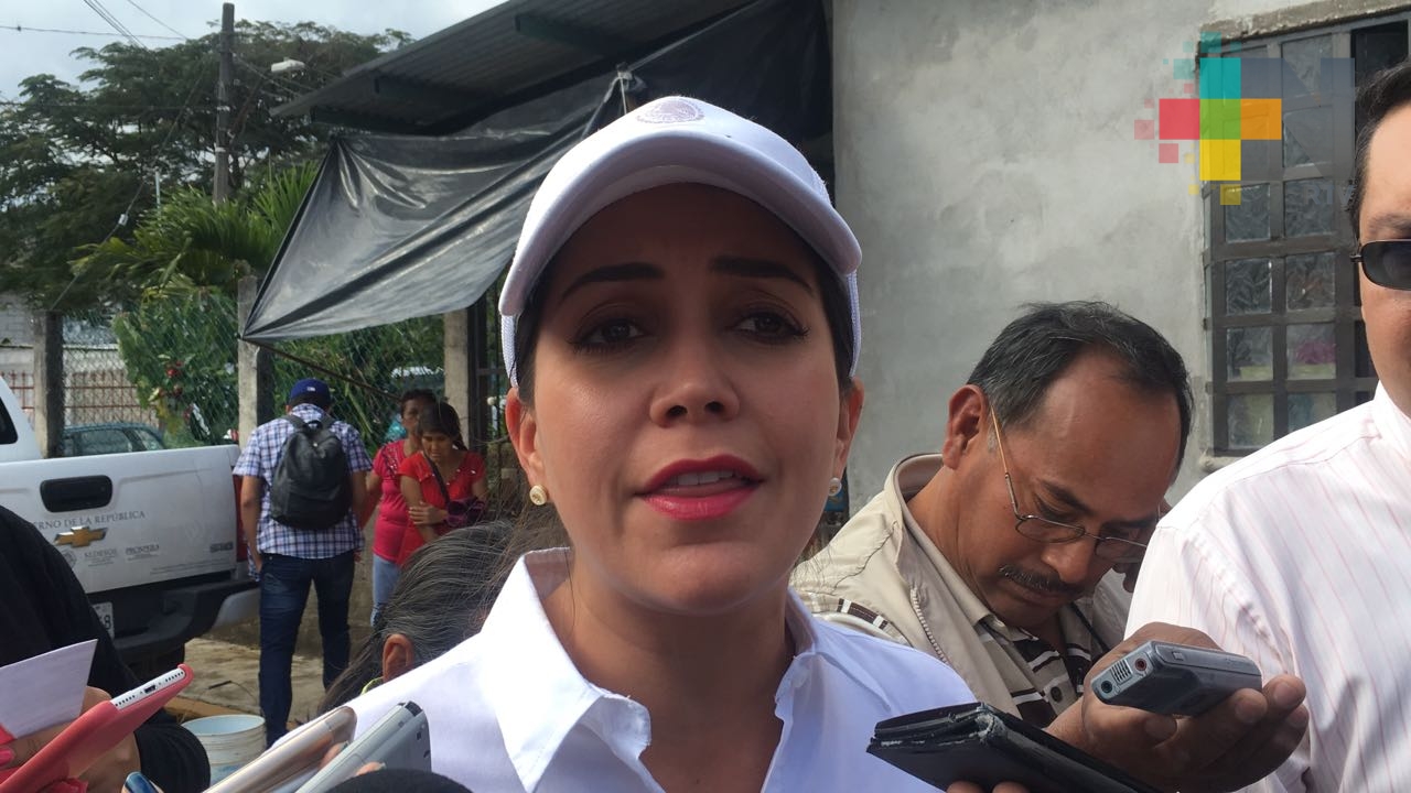 Programas de Sedesol con padrón definido continuarán durante proceso electoral