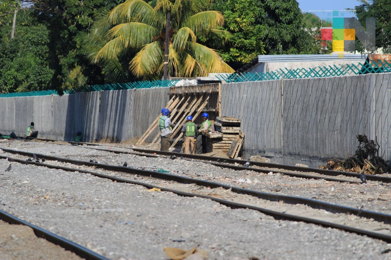 Barda perimetral de las vías del ferrocarril del puerto de Veracruz, con un avance importante