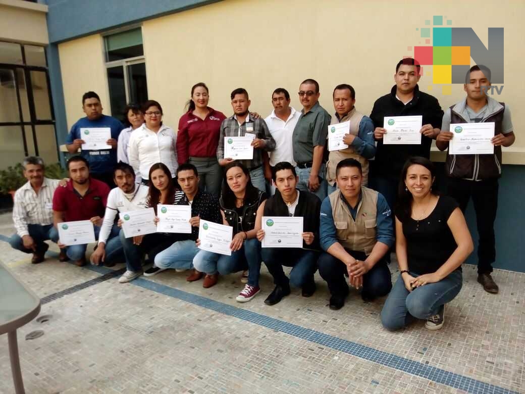 Conafor ha canalizado 22 mdp a 15 organizaciones sociales del sector forestal
