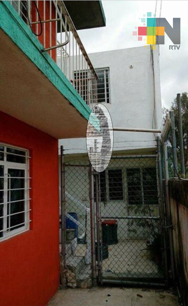 Investiga FEDAYCA causas de muerte de perro ahorcado, en Xalapa