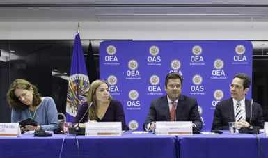 Asume México presidencia de la Comisión Interamericana de Desarrollo Social de la Organización de los Estados Americanos