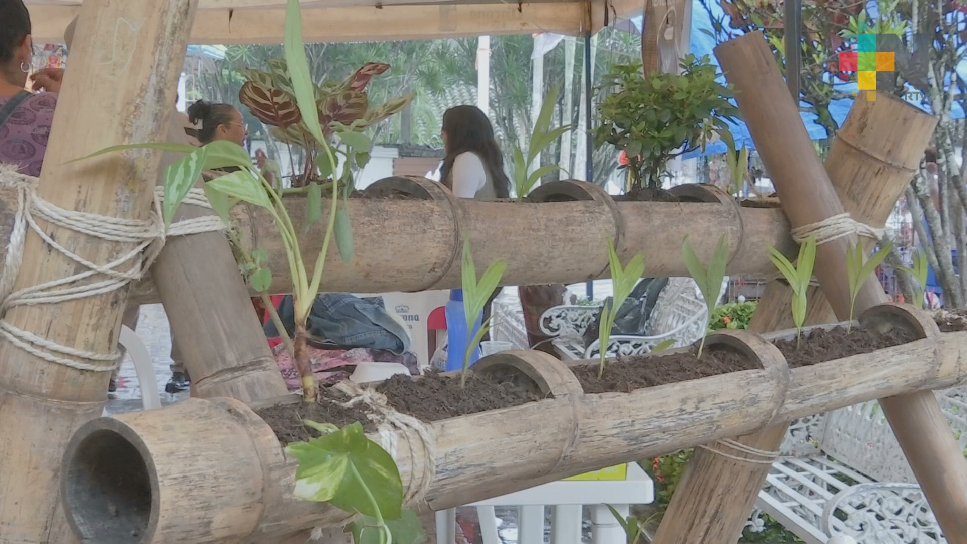 Estudiantes del Tecnológico de San Andrés Tuxtla innovan con proyectos sustentables