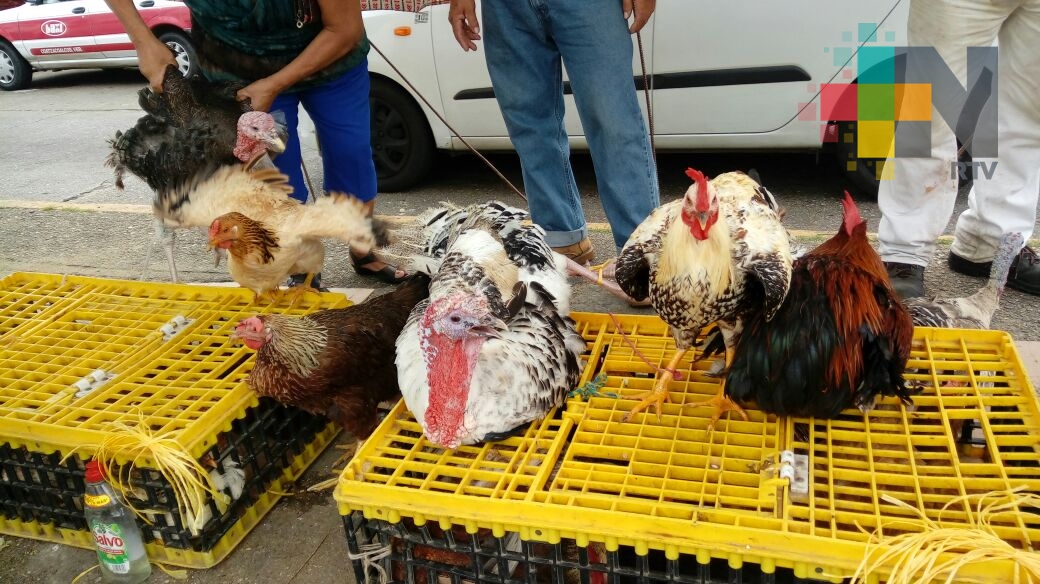 Disminuye la venta de pavos de rancho para navidad