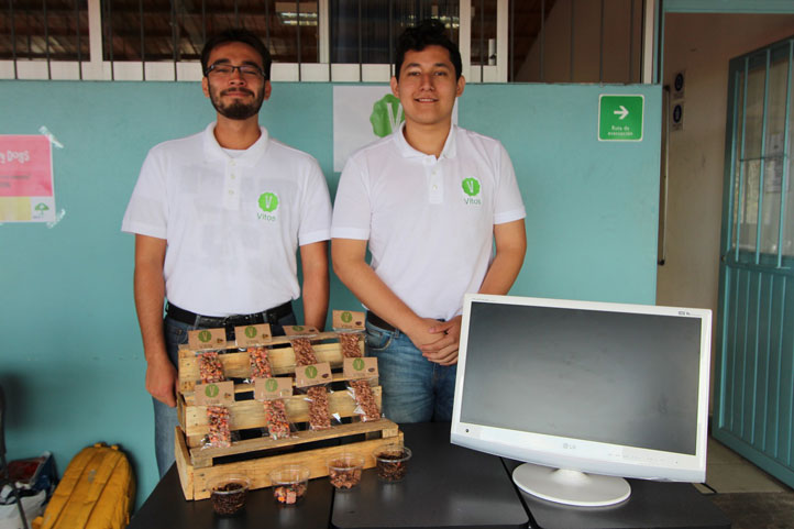 Estudiantes UV usan insectos para elaborar barra nutritiva