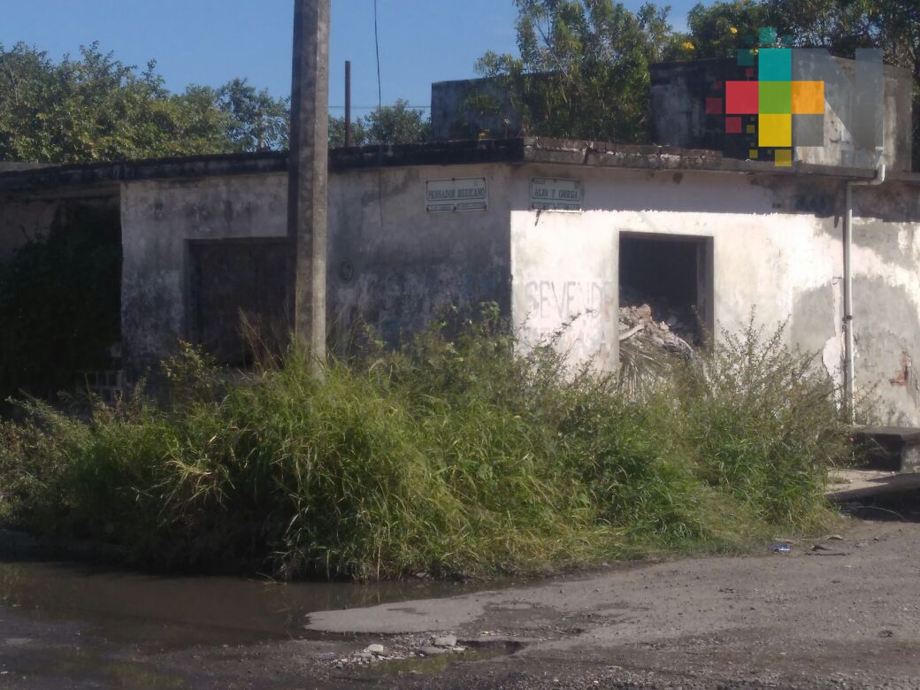 En Veracruz, vecinos se quejan por vivienda abandonada