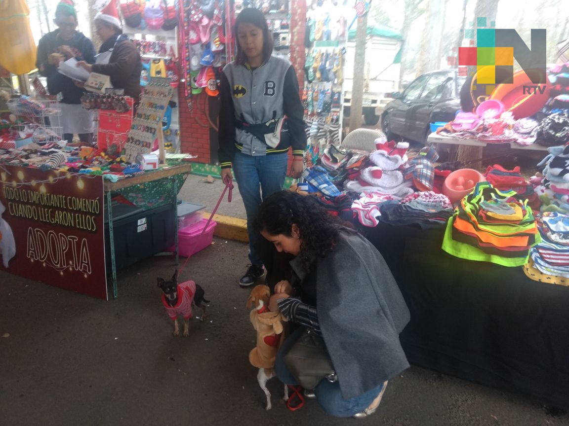 Este fin de semana se realiza el Animal Christmas Fest Xalapa