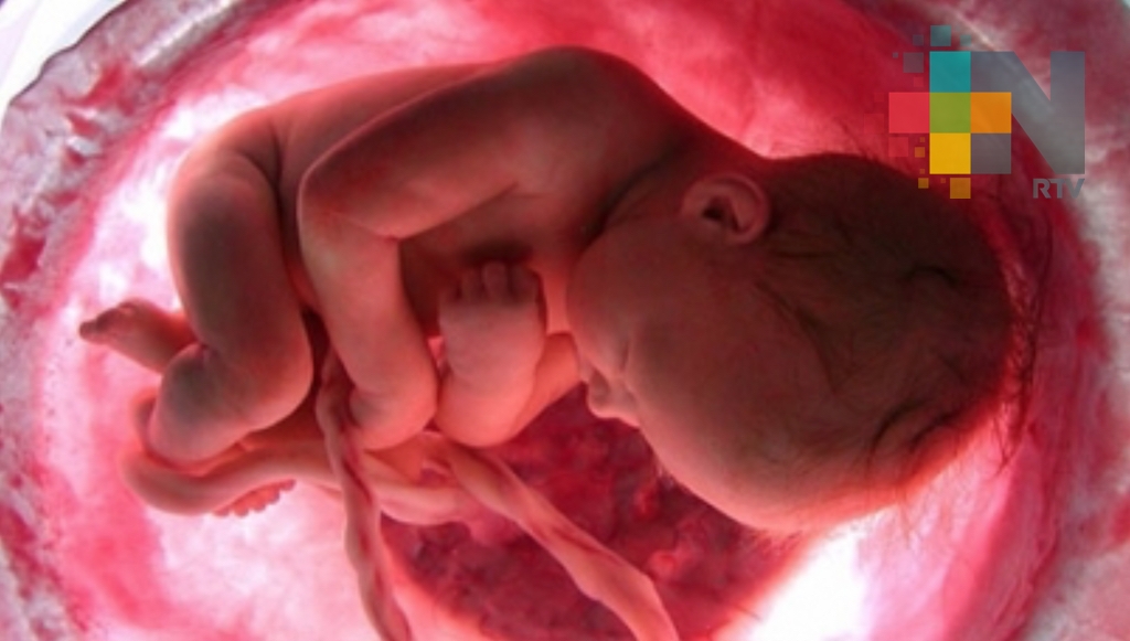 Nace en EUA primer bebé de una mujer que recibió trasplante de útero