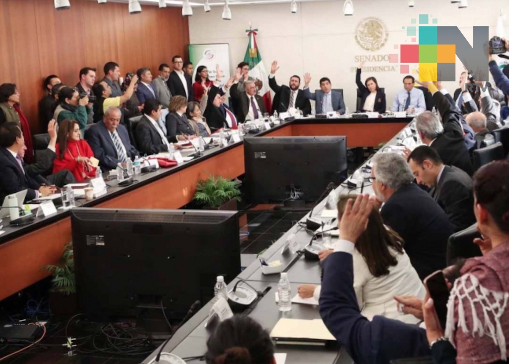 Comisiones del Senado aprueban Ley de Seguridad Interior