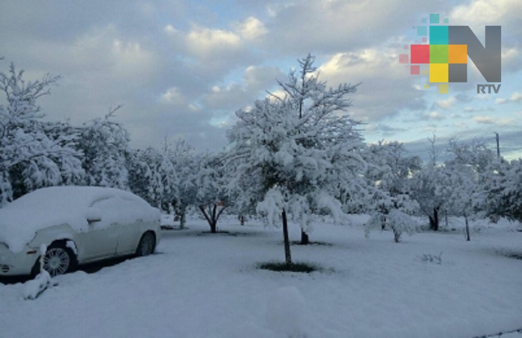 Cae primera nevada en Toronto y afecta ruta de trenes y vuelos