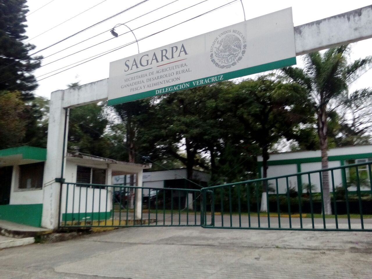 Organizaciones campesinas exigen seguimiento a denuncias contra exfuncionarios de Sagarpa