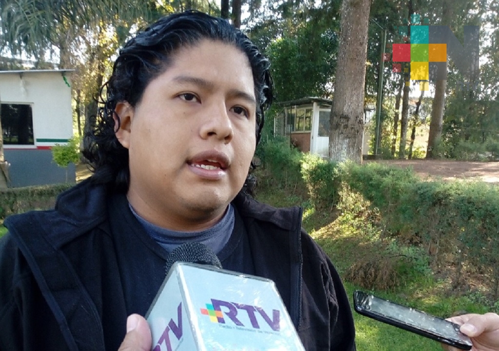 Veracruz cuenta con ocho rodales semilleros que ofrece germoplasma de calidad