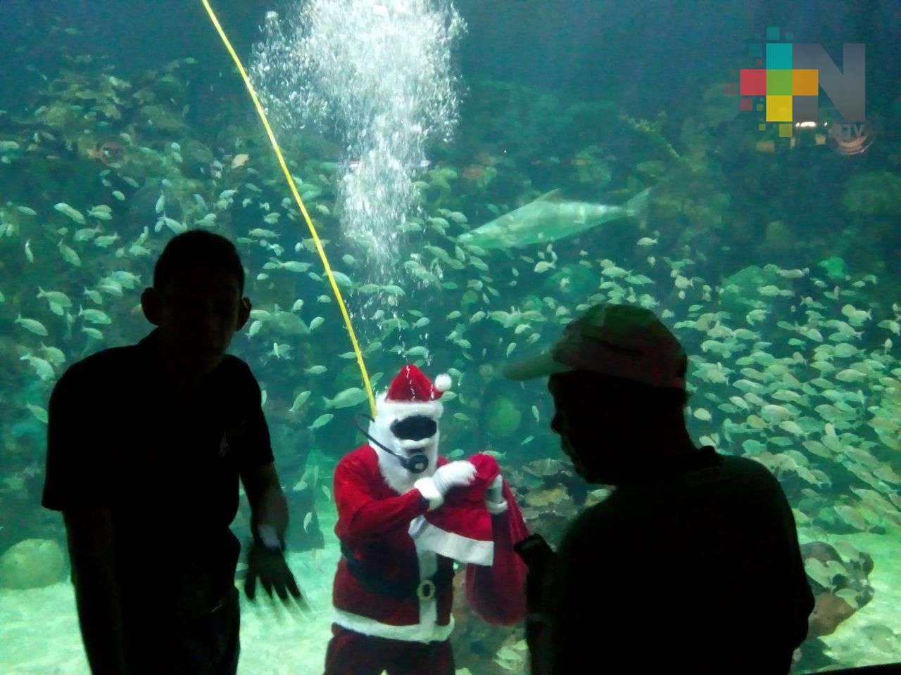 Santa Claus llega al Acuario de Veracruz