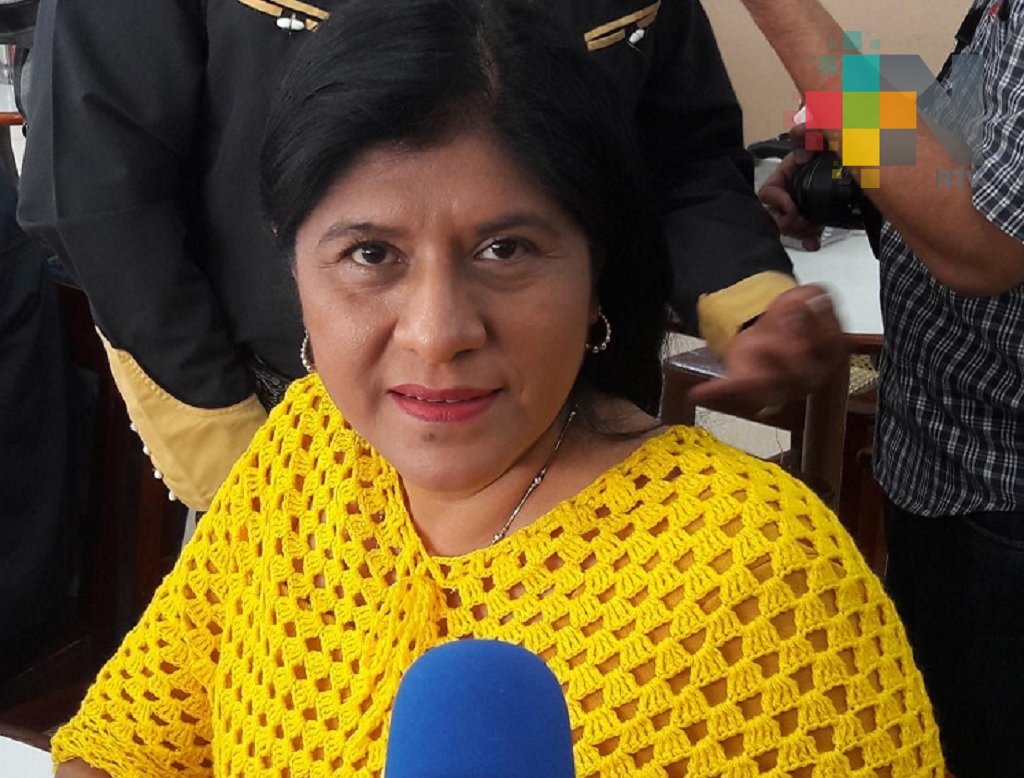 Congreso del Estado retomará tema de la violencia de género: Diputada