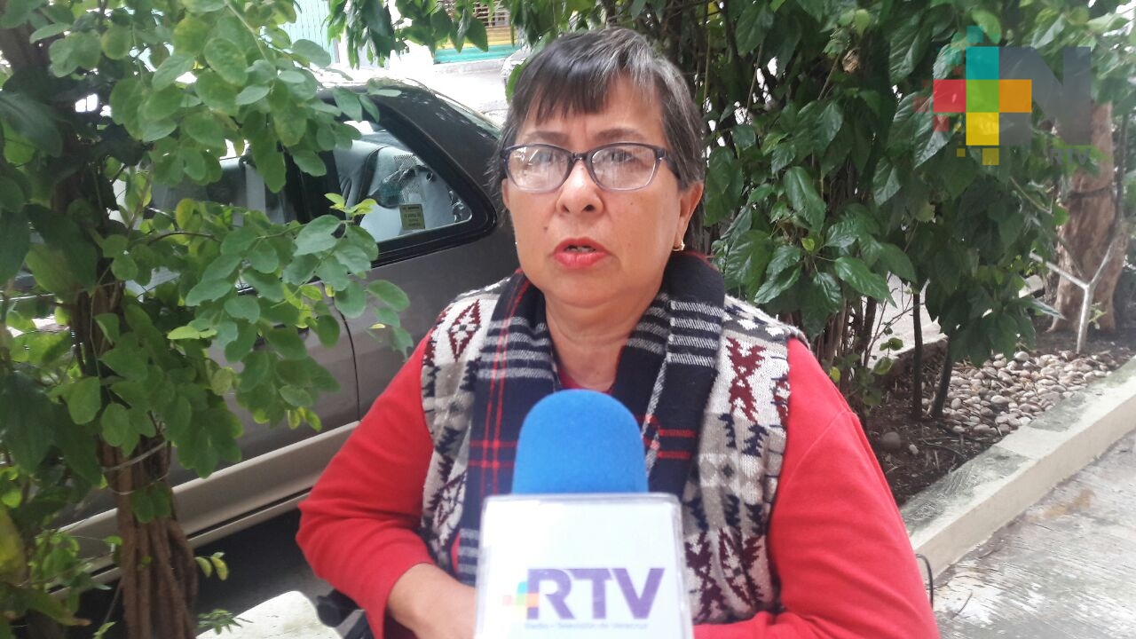 Colectivo Solecito colocará árbol de Navidad con fotos de sus familiares desaparecidos