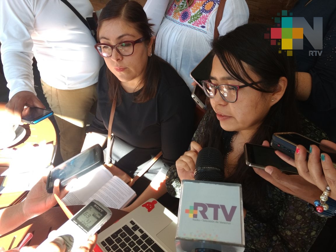 Presentan libro «Observatorio de Violencia de Género»