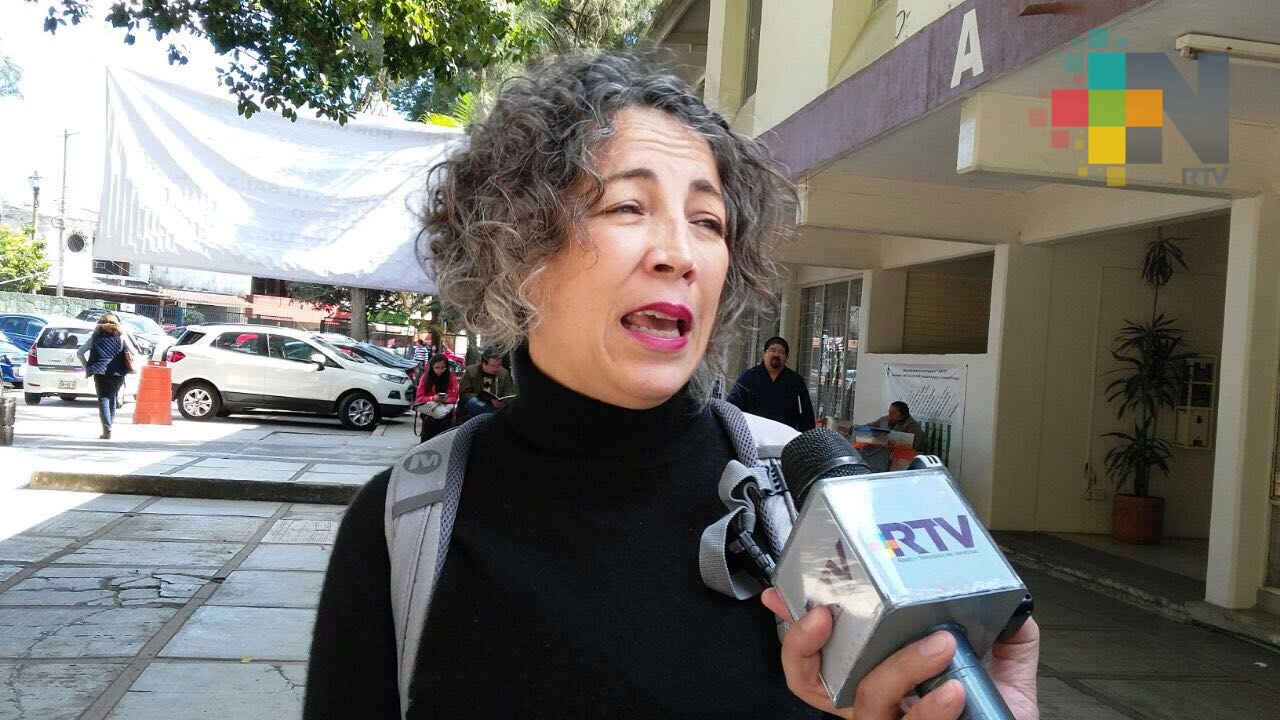 Se deben analizar procesos de reforma policial democrática en México: Investigadora