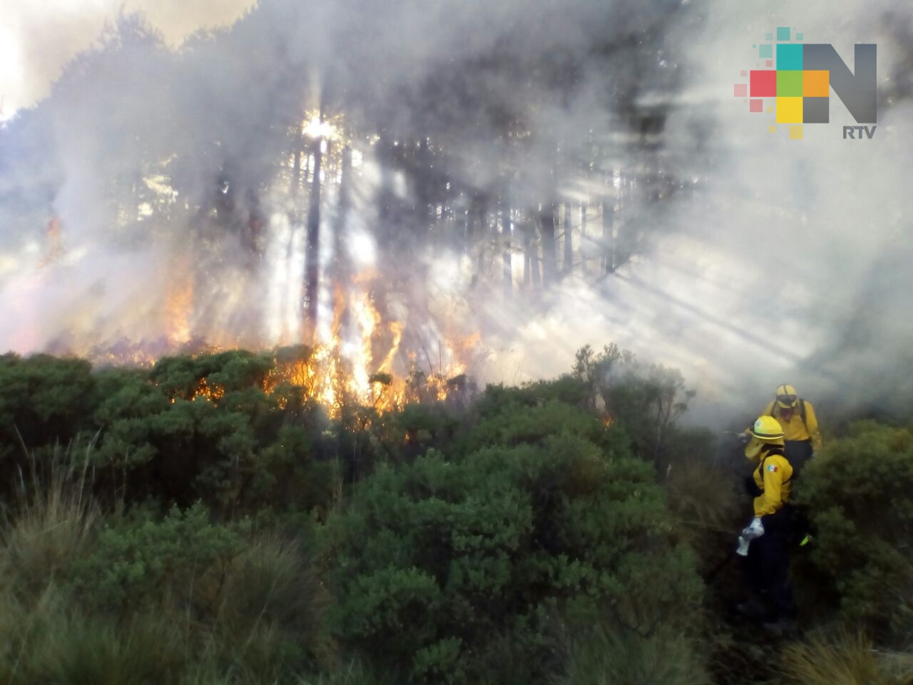 Conafor prevé condiciones para la propagación de incendios forestales en Veracruz