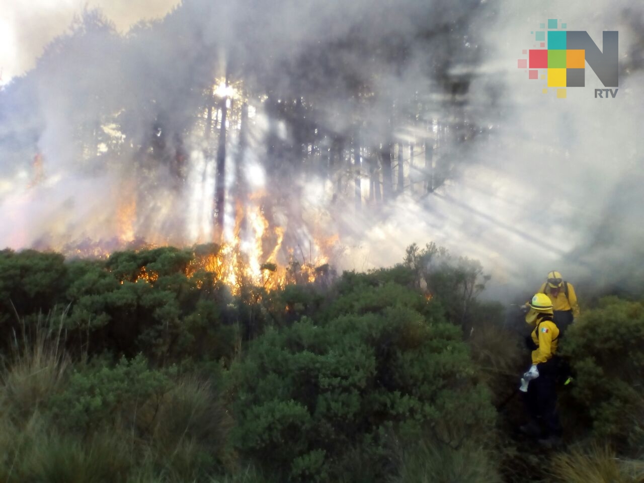 Combaten incendios en municipios de Veracruz