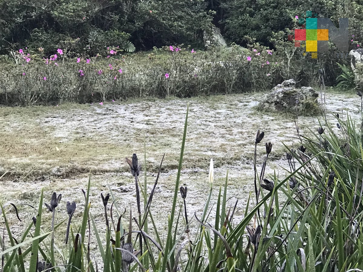 Declara Segob fin de la Emergencia para tres municipios de Veracruz