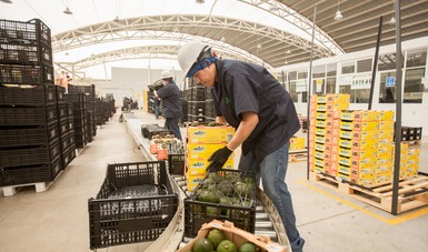 Aumentan 10% exportaciones agroalimentarias mexicanas a Canadá en 2017