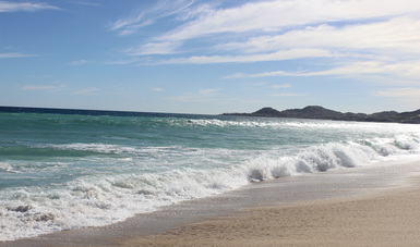 Garantizada la calidad del agua en playas de México en el periodo vacacional de invierno