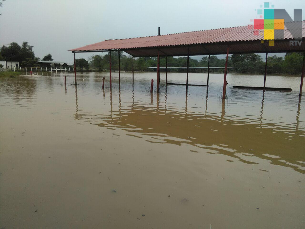 Segob declara emergencia para tres municipios de Veracruz