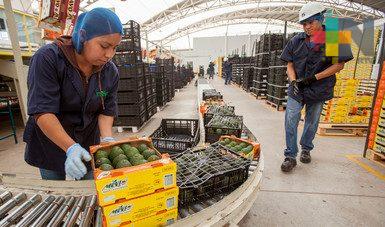Prevé Sagarpa crecimiento en producción agropecuaria por más de 2.6 millones de toneladas