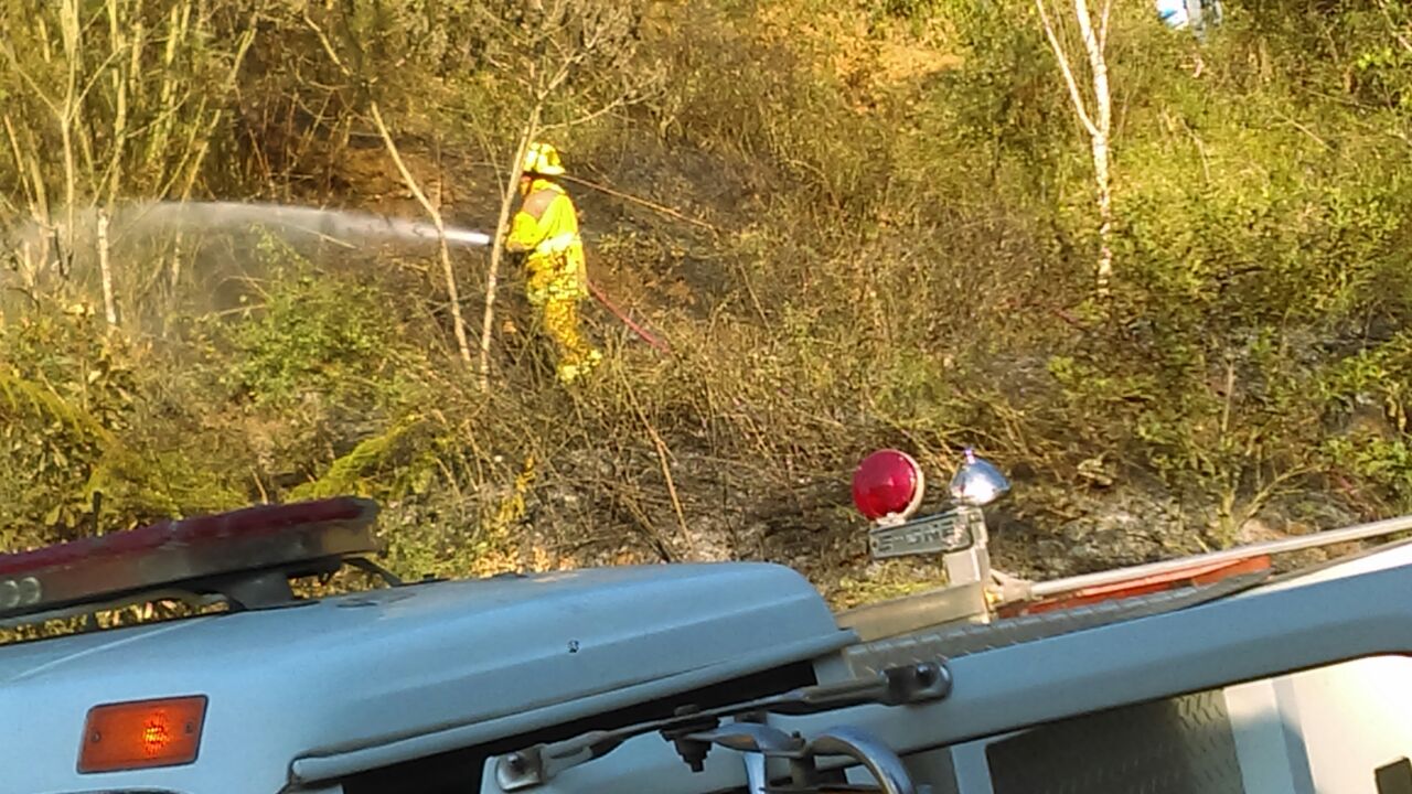 Controla Bomberos conato de incendio en pastizal de Xalapa
