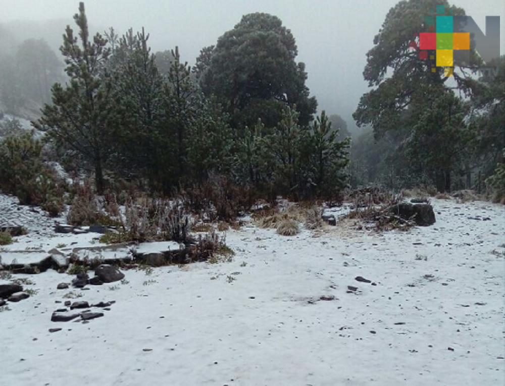 Parques Pico de Orizaba y Cofre de Perote se encuentran abiertos a los visitantes