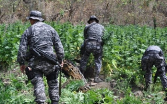 Colombia y EUA analizan estrategias contra el narcotráfico