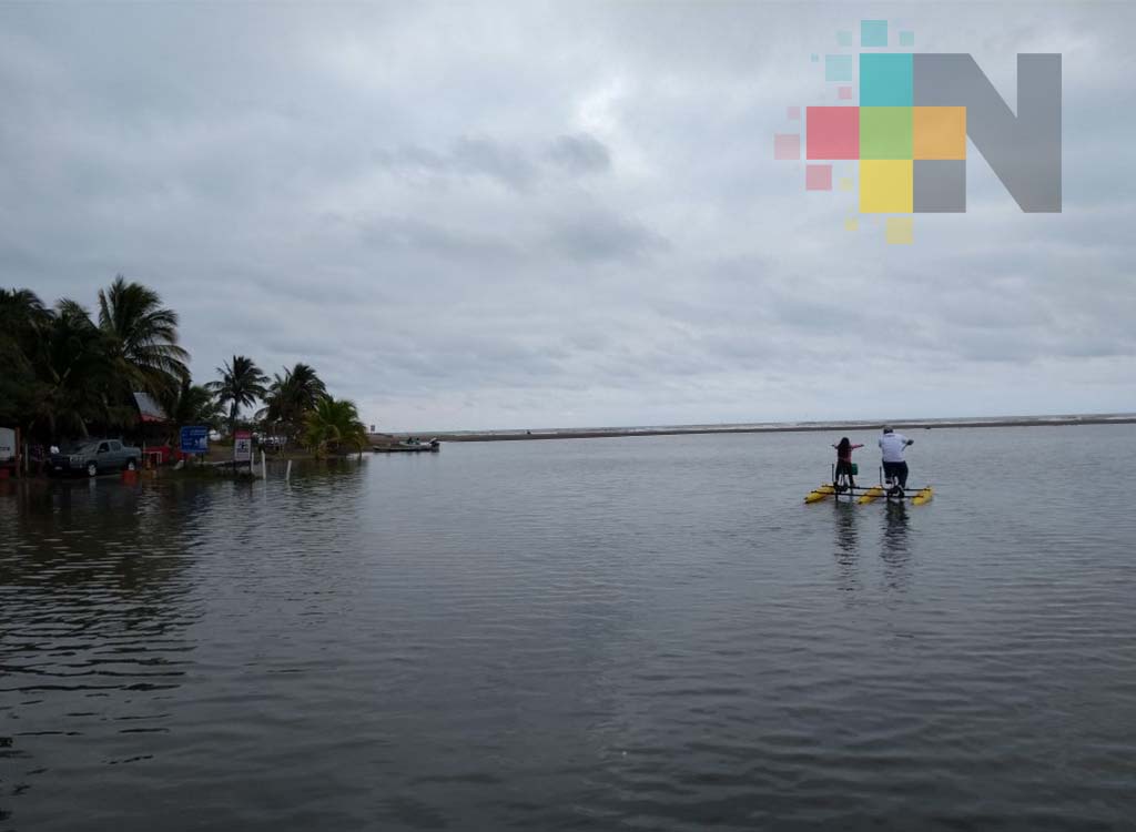 Recuperación de áreas naturales protegidas ha sido importante en Veracruz