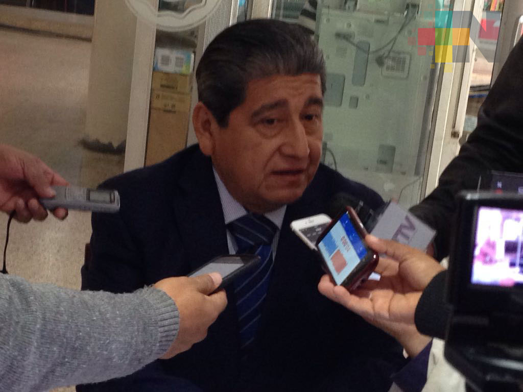 Partidos políticos tienen la obligación de postular candidatos indígenas a diputados federales