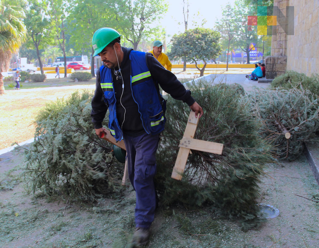 En Veracruz habilitan 84 centros de acopio para reciclar árboles de Navidad