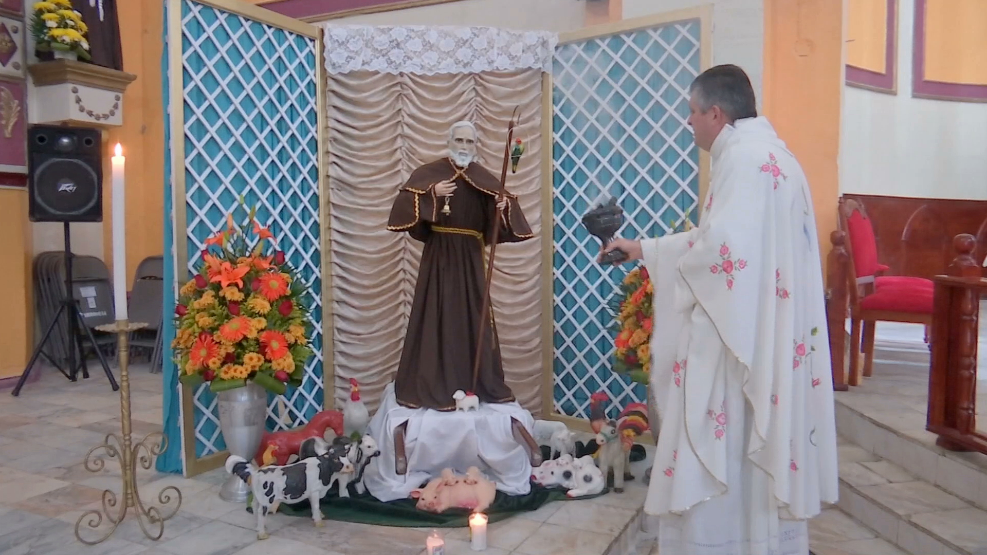Bendicen mascotas en el día de San Antonio Abad