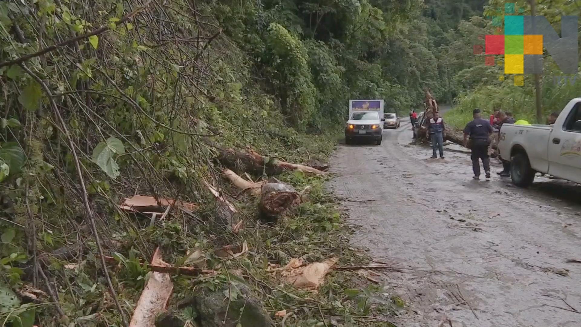 Teocelences piden ruta alterna a Xalapa y Xico