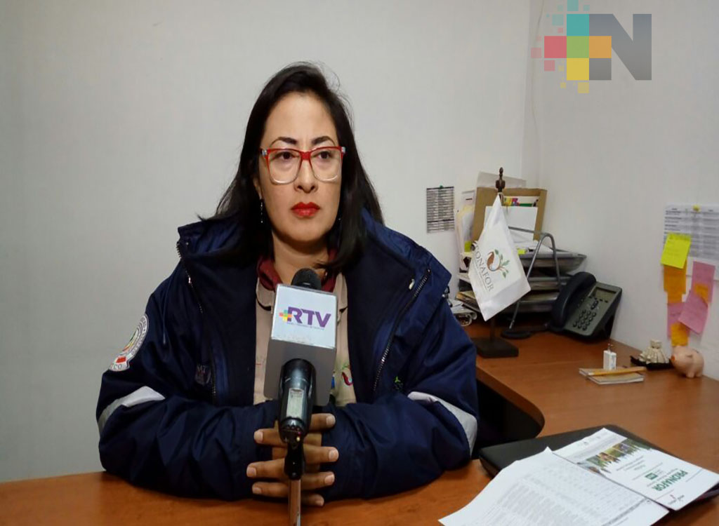 Conafor abre ventanillas para el Programa Nacional Forestal 2018