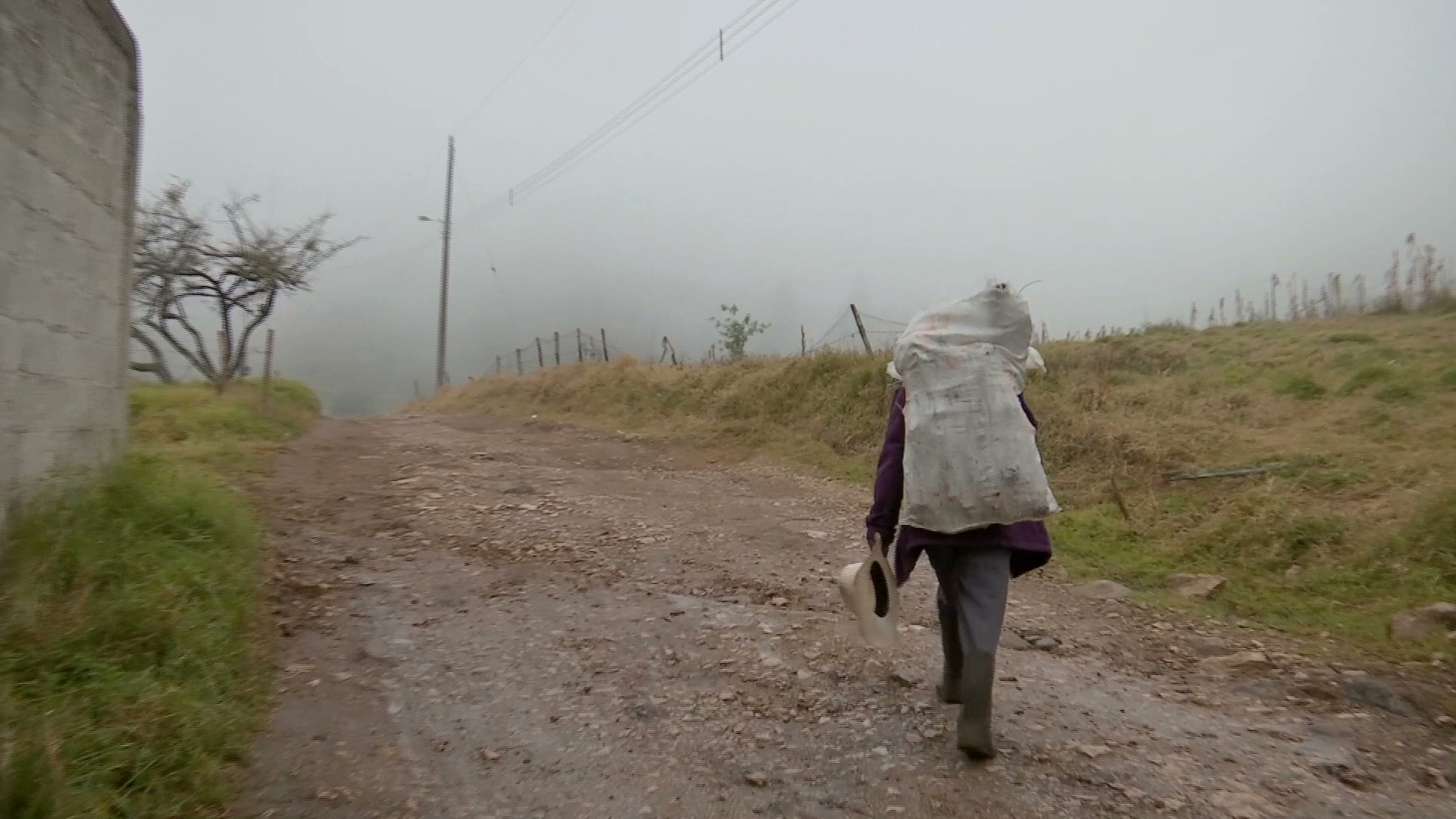 Bajas temperaturas afectan a comunidades de Xico