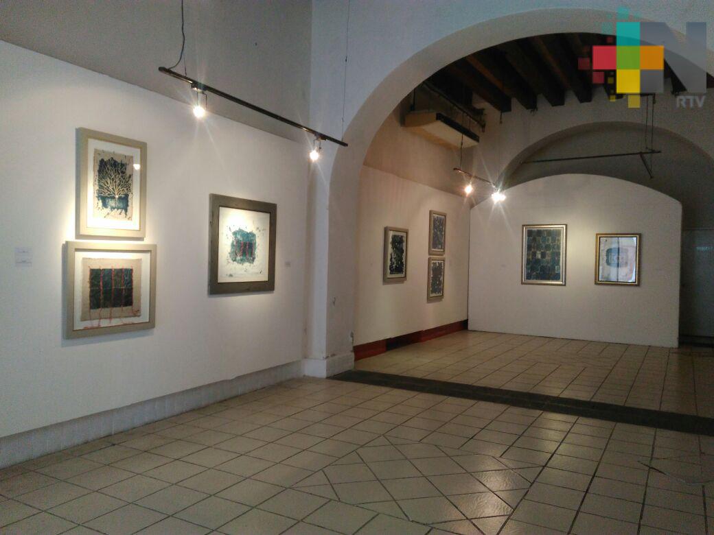 IVEC desarrolla diversas actividades culturales, musicales y artísticas en Veracruz puerto