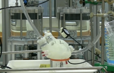 Científicos crean corazón impreso en 3D que late como uno real