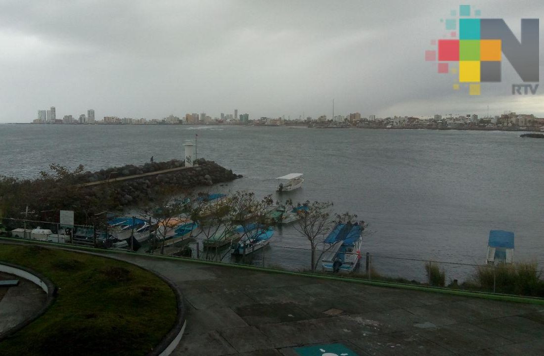 Cielo nublado con nieblas y llovizna, se prevé su disminución durante el día