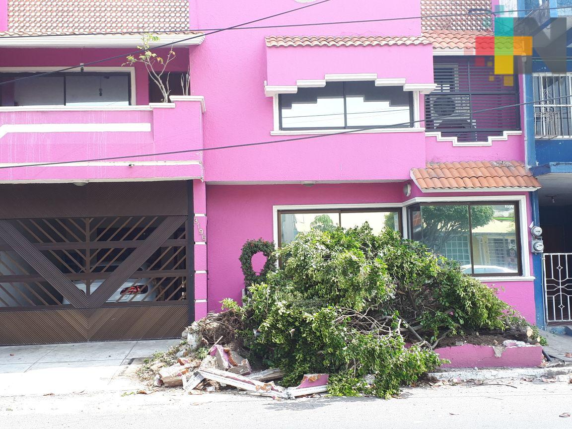 Automóviles los principales responsables de accidentes viales en Veracruz puerto