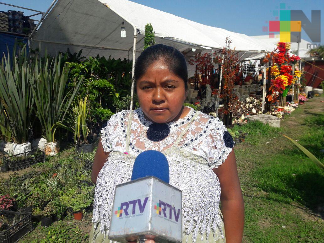 Artesanos indígenas piden apoyo en acopio de medicamentos