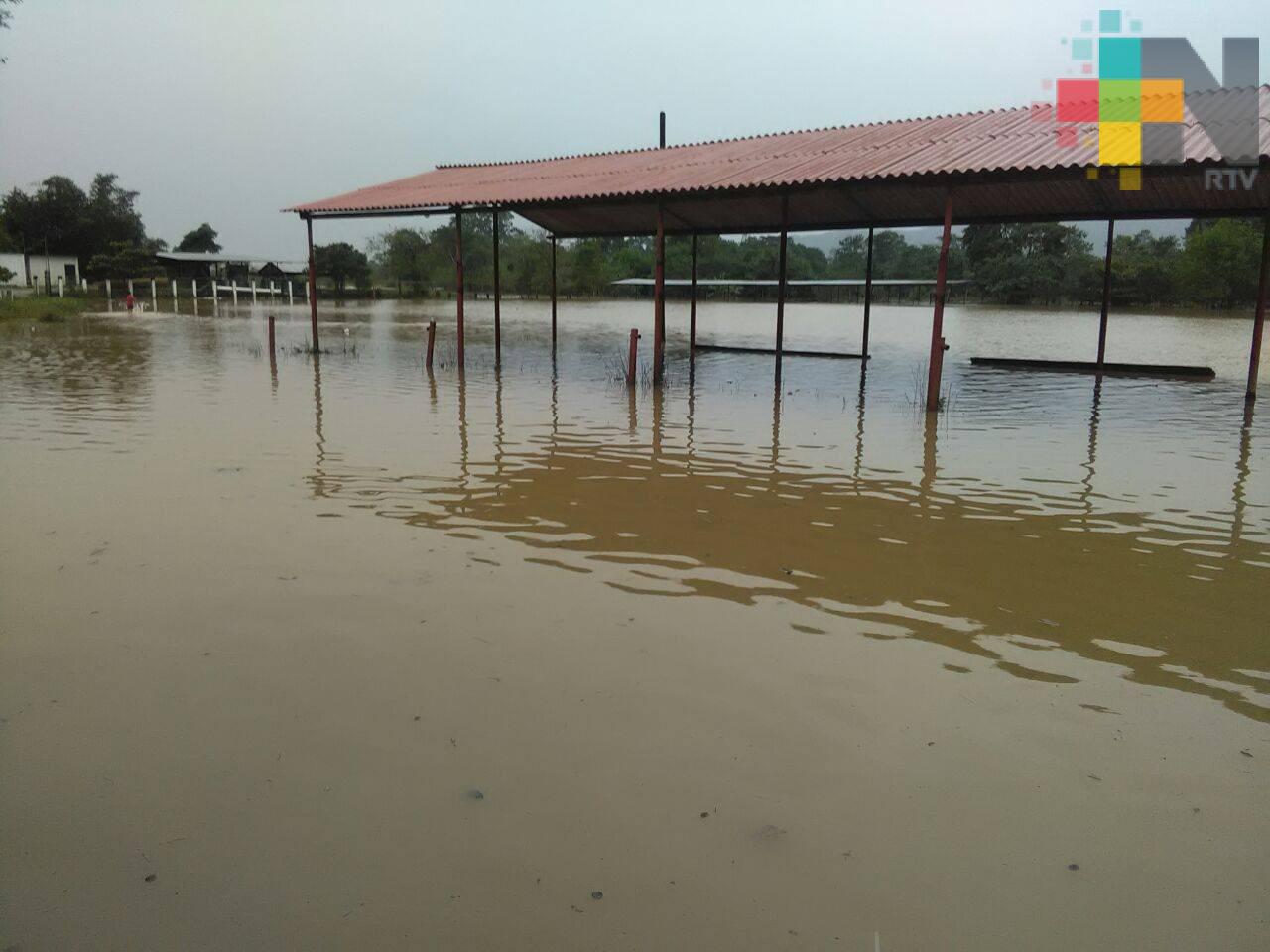 Desbordamiento de ríos Pedregal y Uxpanapa afectan a 700 familias