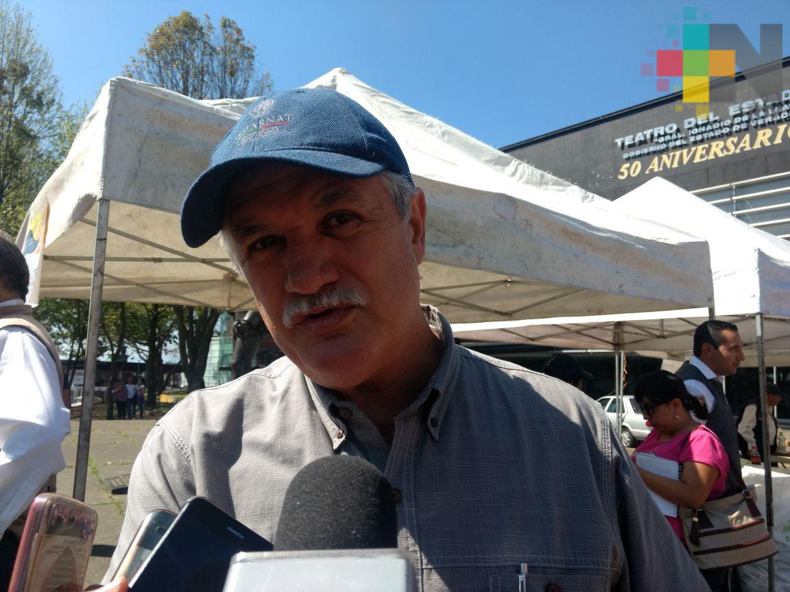 Veracruzanos producen 500 toneladas de basura al día: Semarnat