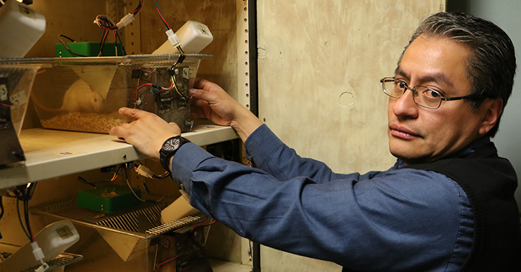 Estudia IPN desincronización del metabolismo por consumo de alcohol