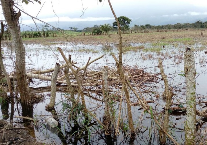 Lluvias dejan miles de afectados en Guatemala