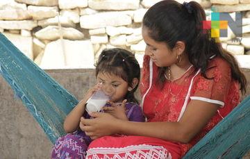 Garantizan alimentos y agua potable en municipios de Oaxaca afectados por sismo de viernes