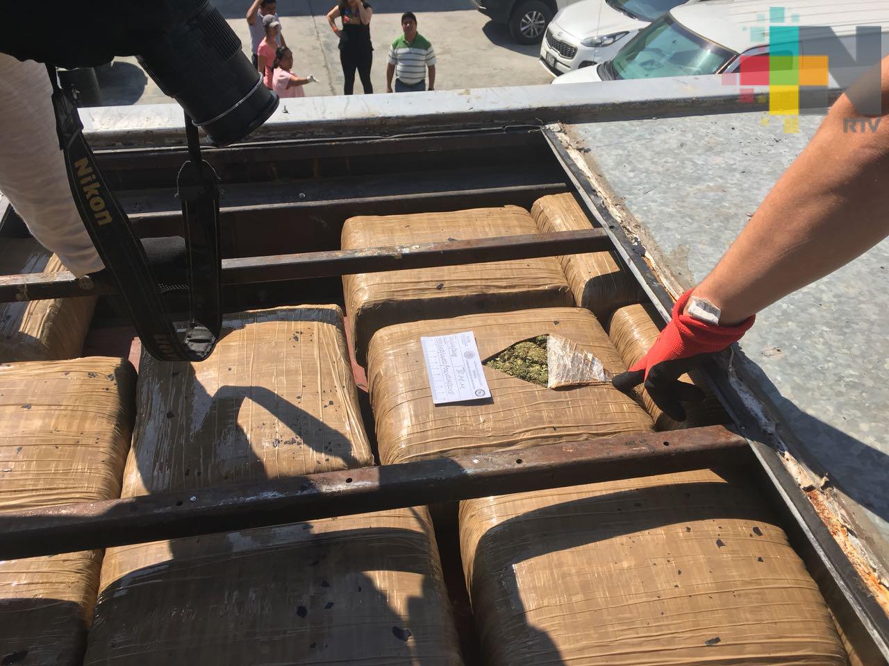 Aseguran cerca de media tonelada de mariguana en el sur de Veracruz