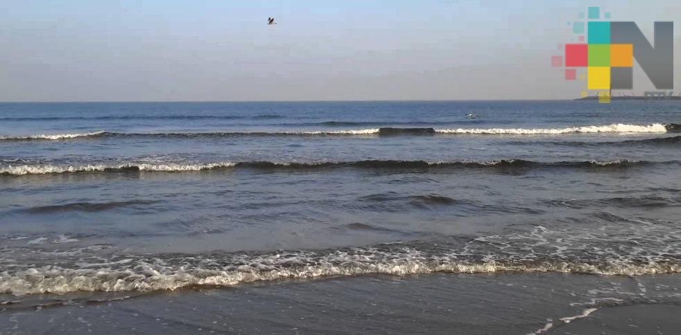 Colocarán señalamientos en zonas de playas de Coatzacoalcos consideradas de riesgo