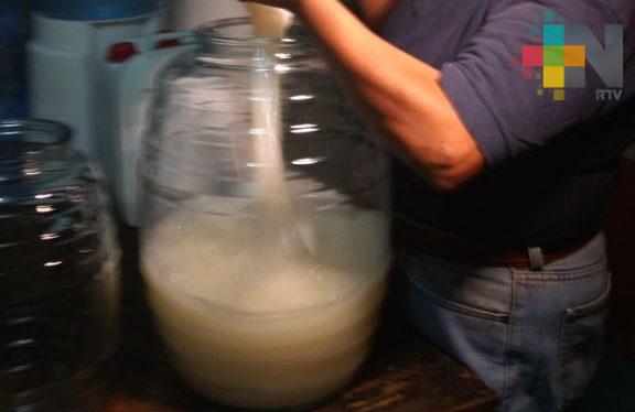 Pulque, bebida artesanal que trae salud a quien la consume